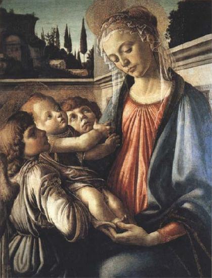 Sandro Botticelli Madonna and Child with two Angels oil painting image